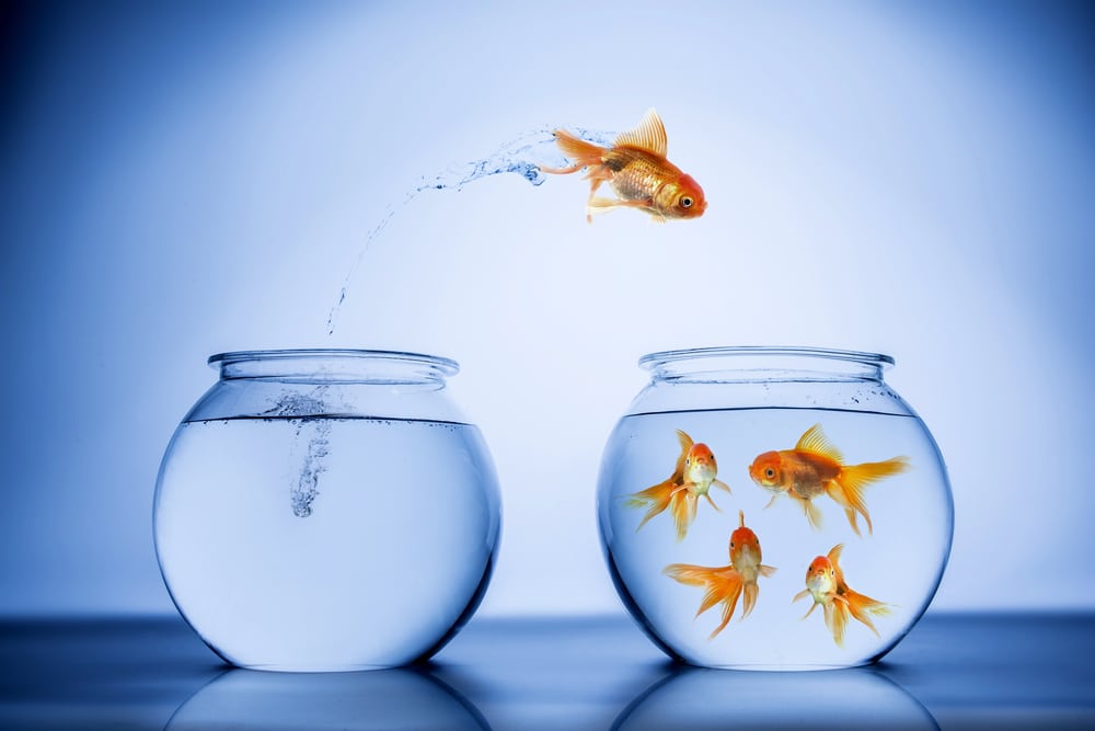 Beitragsbild zu AIBOM-Generator wechselt zu OWASP: Neuer Standard für KI-Transparenz in der Software-Lieferkette