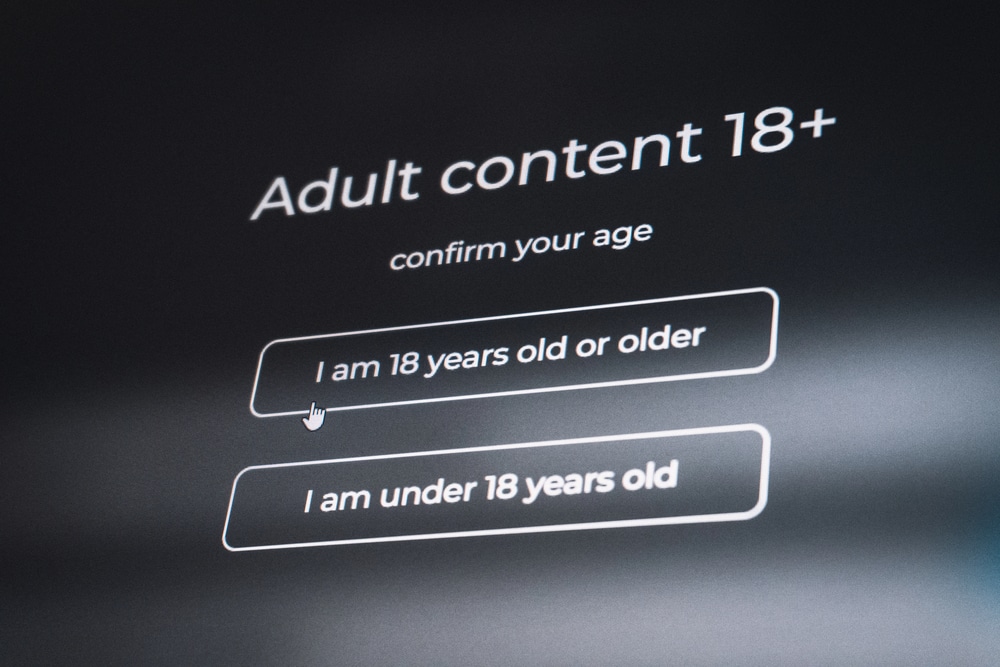 Beitragsbild zu Altersüberprüfung im Internet: Wie neue Gesetze Datenschutz und Sicherheit aller Nutzer gefährden